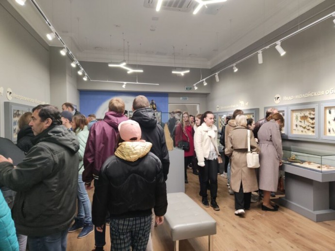 Костромские учителя будут бесплатно ходить в театры и кино