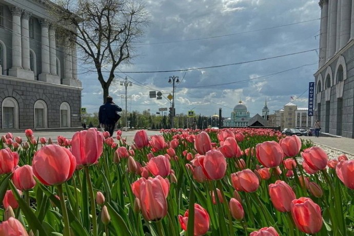 В Курске создадут сайт для предложений по развитию города к его 1000-летию