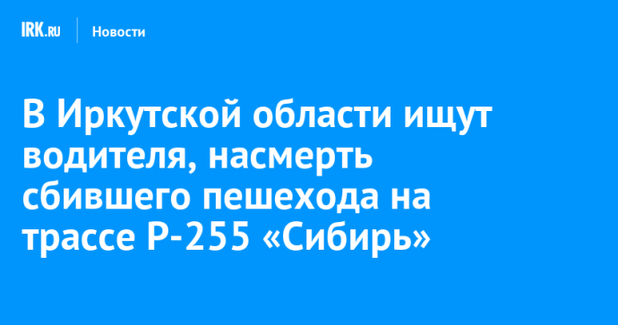 В Иркутской области ищут водителя, насмерть сбившего пешехода на трассе Р-255 «Сибирь»