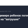 Во Владимире ребенок погиб, катаясь на "ватрушке"
