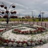 В Благовещенске назвали победителей фестиваля «Город в цвете»