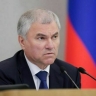 Володин: Госдума с 2024 года приняла 16 законов для борьбы с нелегальной миграцией