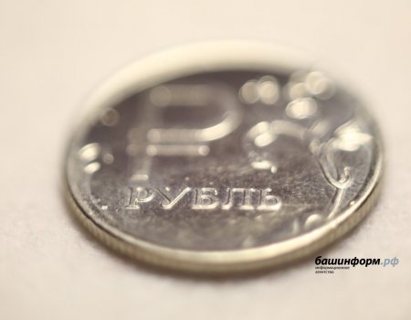 В Башкирии на 16,6% увеличатся выплаты опекунам