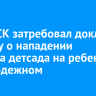 Глава СК затребовал доклад по делу о нападении тренера детсада на ребенка в Молодежном