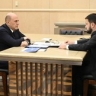 Встреча Михаила Мишустина с руководителем Федерального агентства воздушного транспорта Дмитрием Ядровым