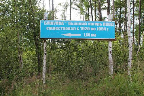 Музей Сковородинского округа показал место в Приамурье, где погибли более 40 тысяч человек