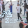 В СФ рассмотрят идеи резидентов префрежимов по корректировке отраслевых законов