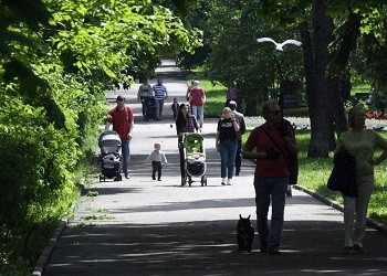 Студенты Амурского колледжа создали проект сквера, который построят по программе ЕР и Минстроя
