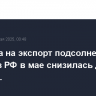 Пошлина на экспорт подсолнечного масла из РФ в мае снизилась до 4,5 тыс. руб.