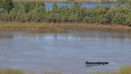 Стали известны причины гибели рыбы в реке Башкирии