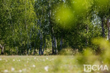 Акулина Гречишница, 26 июня: что можно и нельзя делать, приметы