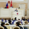 Петербургские депутаты хотят запретить аниматорам навязчиво приставать к прохожим