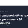 Над Новгородской областью за ночь субботы уничтожили 20 беспилотников