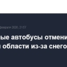 Школьные автобусы отменили в Курской области из-за снегопада