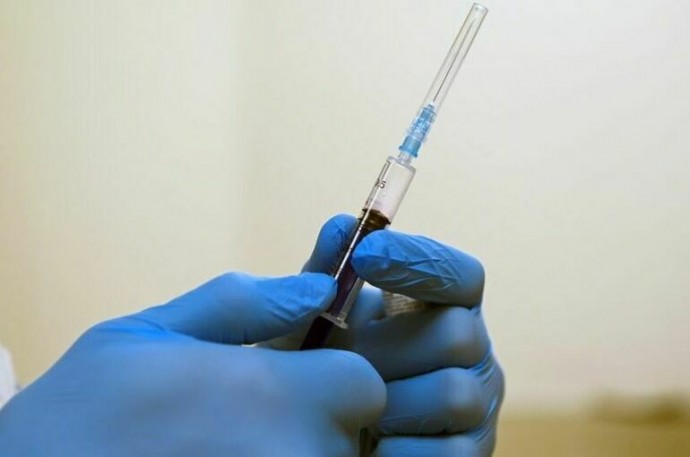 Эксперты рассказали, когда в ветаптеки вернутся российские вакцины от бешенства