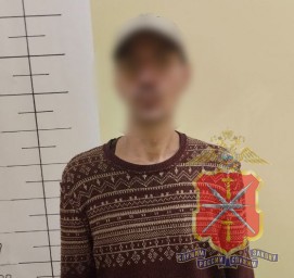 В Плавске задержан подозреваемый в разбойном нападении на пенсионера