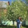 Росреестр пояснил, как получить землю для ИЖС с помощью сервисов НСПД и оформить жилой дом