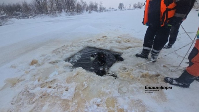В Башкирии водолазы достали из озера более 1300 туш овец