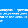 Мэры Ангарска, Черемхово и Свирска сохранили свои посты после прошедших выборов
