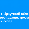 10 мая в Иркутской области ожидаются дожди, грозы и сильный ветер