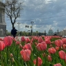 В Курске создадут сайт для предложений по развитию города к его 1000-летию