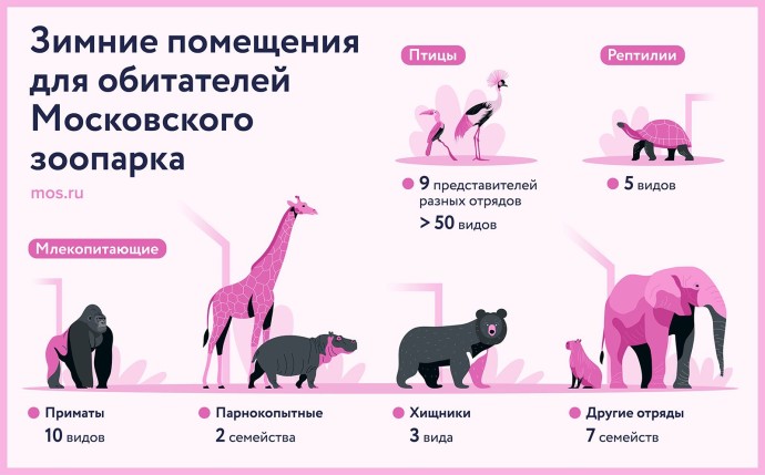 Зимние помещения для обитателей Московского зоопарка