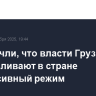 В ЕС сочли, что власти Грузии устанавливают в стране репрессивный режим