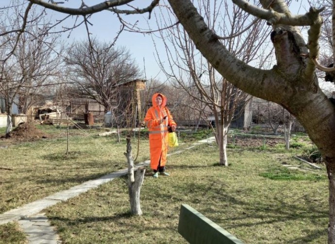 Что делать после полнолуния. Лунный календарь садовода и огородника на вторую половину марта