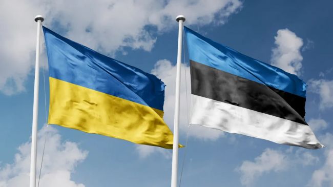 Украина попросила у Эстонии 100 млн евро на закупки оружия