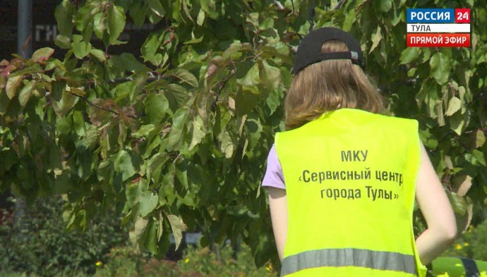 Где найти школьнику подработку на лето?