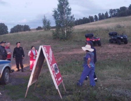 В Башкирии люди заблудились во время сбора ягод и поиска овец