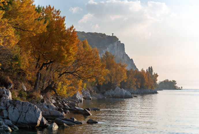 Улиточные фермы, лавандовые поля, дегустации чая: Крым расширяет гастромаршруты