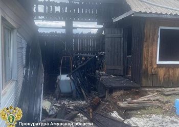 В Приамурье дети, играя с зажигалкой, подожгли дом пенсионера