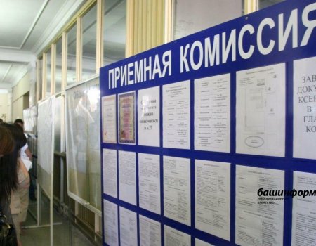 Абитуриентам Башкирии рассказали о возможностях подачи документов онлайн