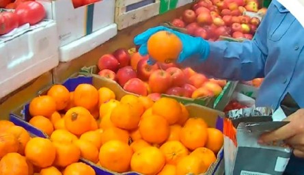 В мандаринах и киви в Бурятии нашли кое-что нехорошее