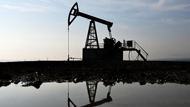 Индонезия обсуждает с Россией закупки нефти