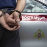 В Плавске задержали подозреваемого в краже ружья