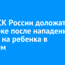 Главе СК России доложат о проверке после нападения собаки на ребенка в Рабочем