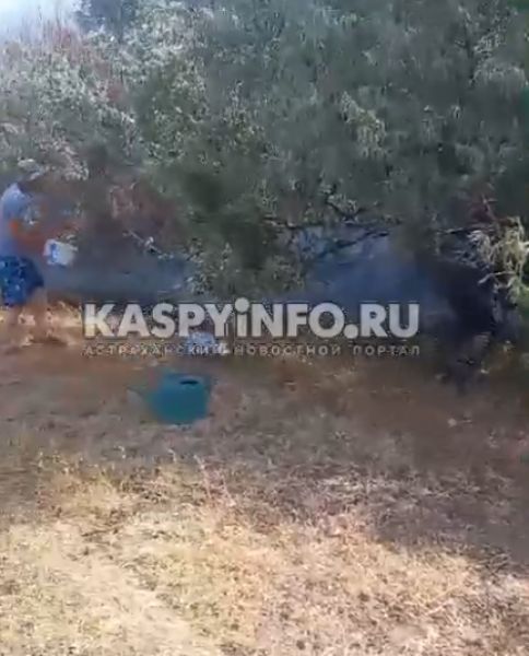 Обгоревшие дачи, люди с вёдрами, пожарные машины. Что происходит на месте вчерашнего пожарища 
