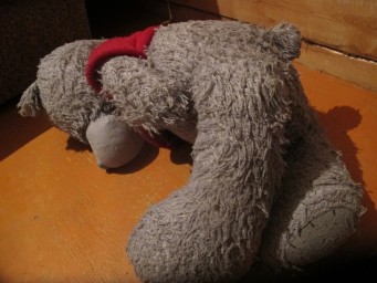 Треть улан-удэнцев оказались готовы всучить своих детей бабушкам