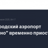 Нижегородский аэропорт "Стригино" временно приостановил работу