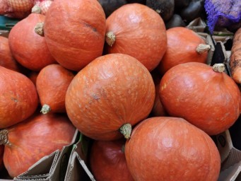 Жителям Башкирии рассказали, какие овощи можно закупать впрок
