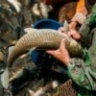Нашел и забрал: в автомобиле астраханца нашли 21 мешок с воблой