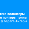 В Иркутске волонтеры собрали полторы тонны мусора у берега Ангары
