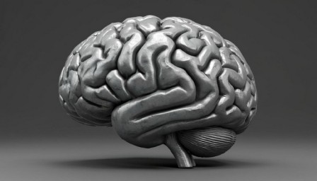 Свинцовый мозг