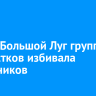 В селе Большой Луг группа подростков избивала школьников