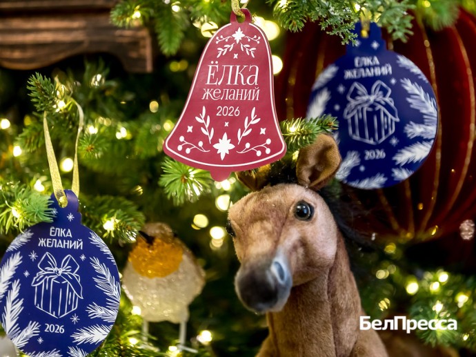 Сотрудники белгородского правительства исполнят новогодние мечты более 100 детей Сотрудники белгородского правительства исполнят новогодние мечты более 100 детей