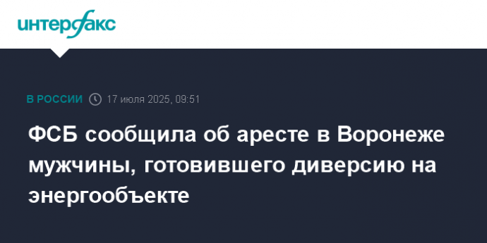 ФСБ сообщила об аресте в Воронеже мужчины, готовившего диверсию на энергообъекте