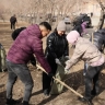 В Улан-Удэ объявили традиционный месячник чистоты