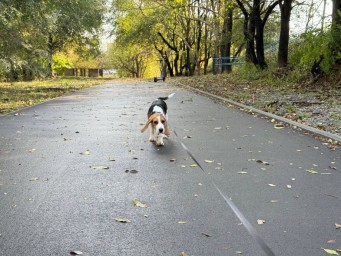 Готовьтесь: приморские синоптики рассказали, какой будет погода в длинные ноябрьские выходные